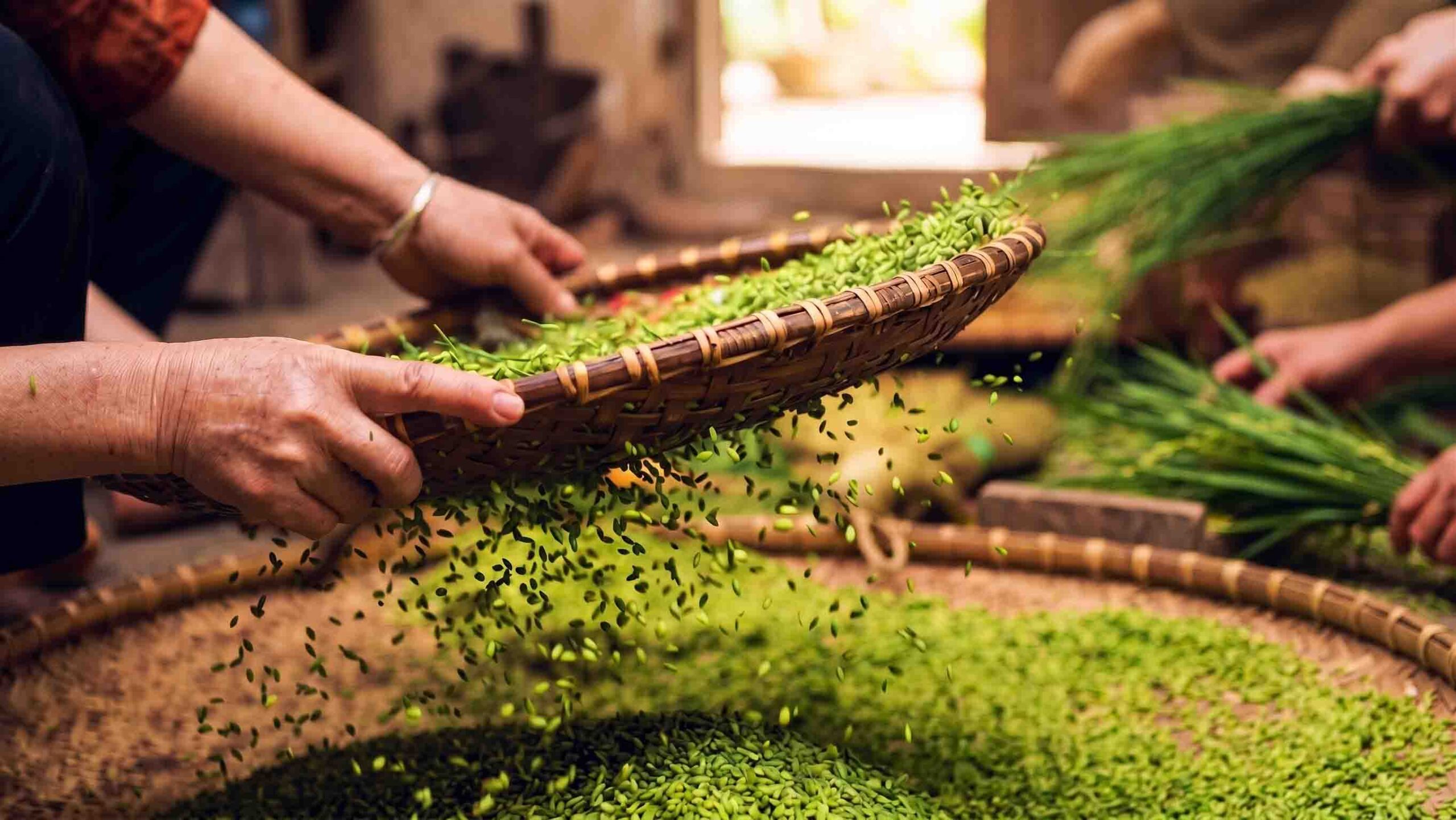 Cốm Làng Vòng xanh tự nhiên đặc sản truyền thống Hà Nội