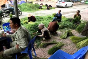 Cốm Làng Vòng xanh tự nhiên đặc sản truyền thống Hà Nội